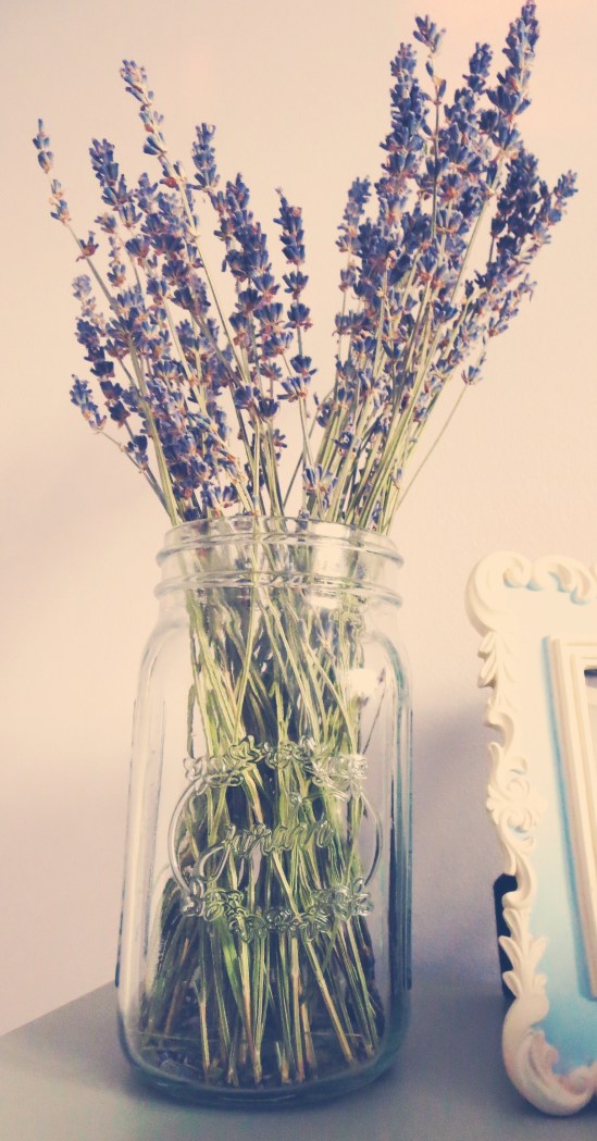 IMG_0049_2I I put a bunch of lavenders in a large mason jar and placed it on my bedside table. Not only does it look rustically French, it also exudes a soothing fragrance to help fall asleep and a refreshing scent to rise and shine in the morning.