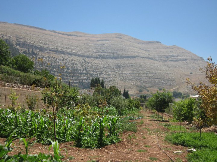 37465_447694936345_5501291_n