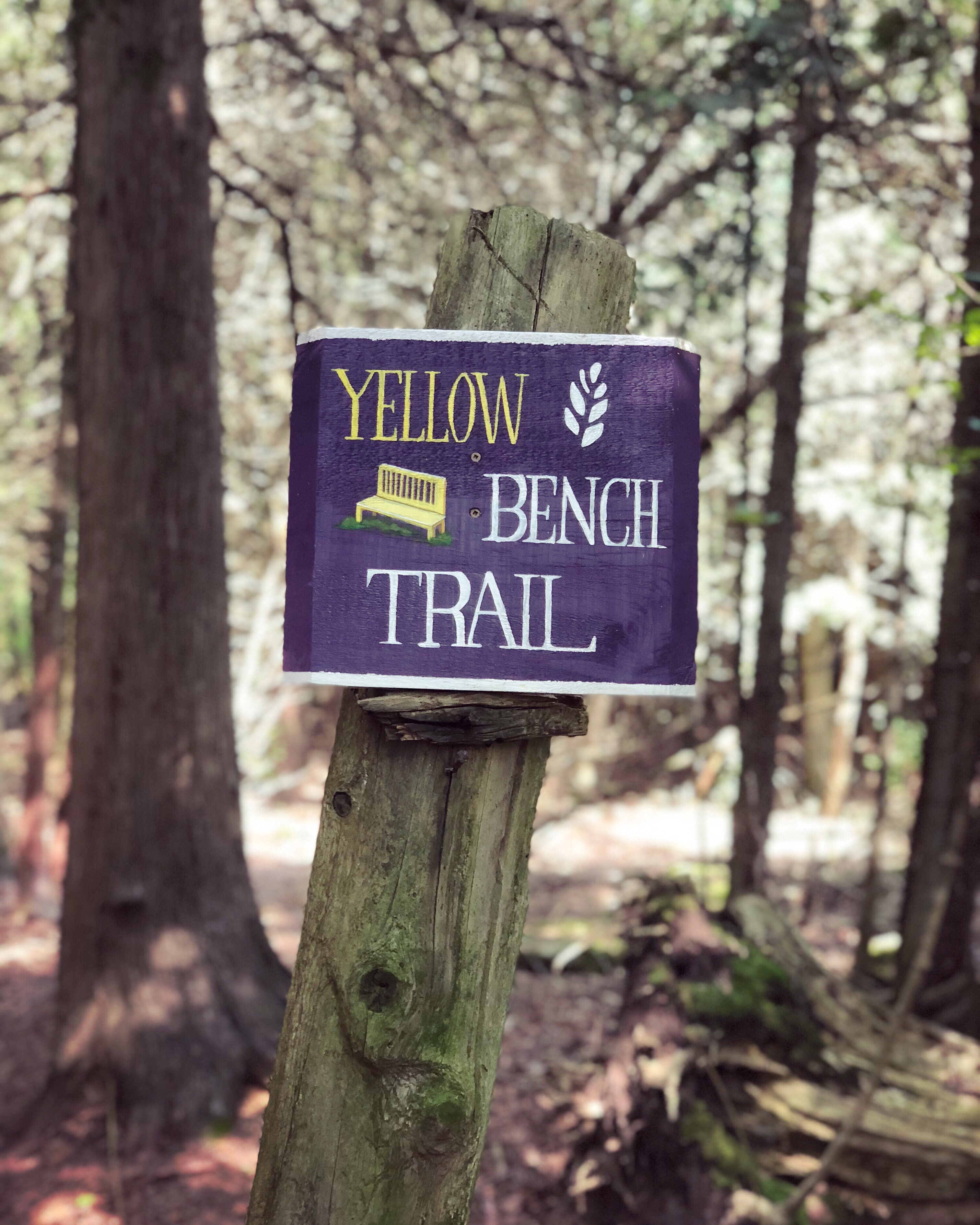 Yellow Bench Trail