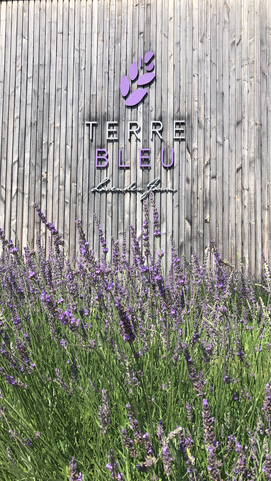 Terre Bleu