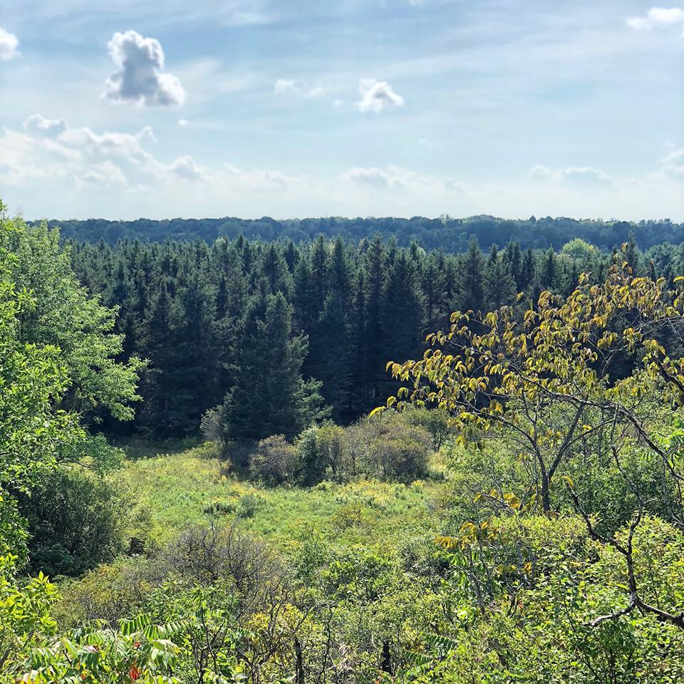 Balsam Lake Lookout Point