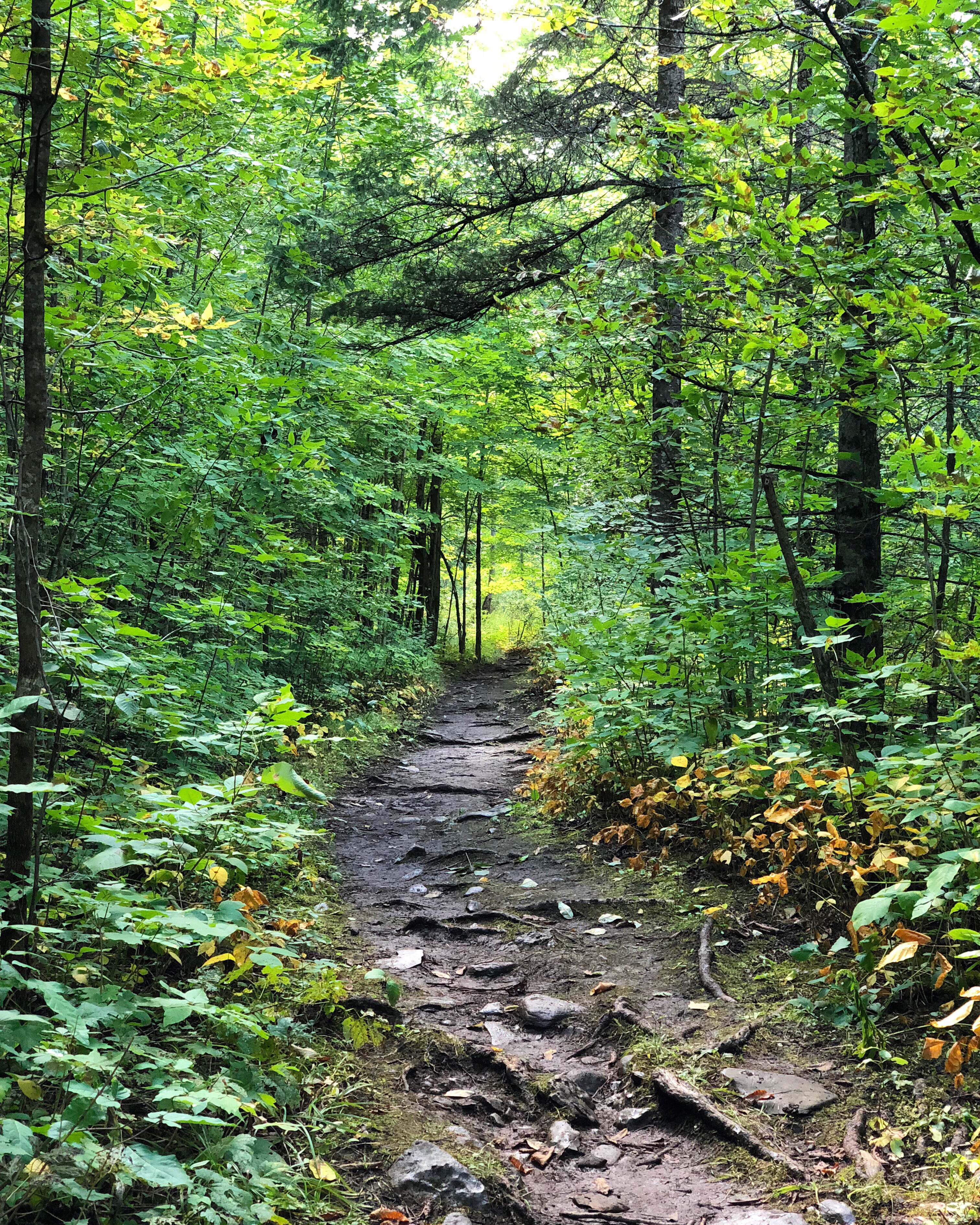 Balsam Lake Trail
