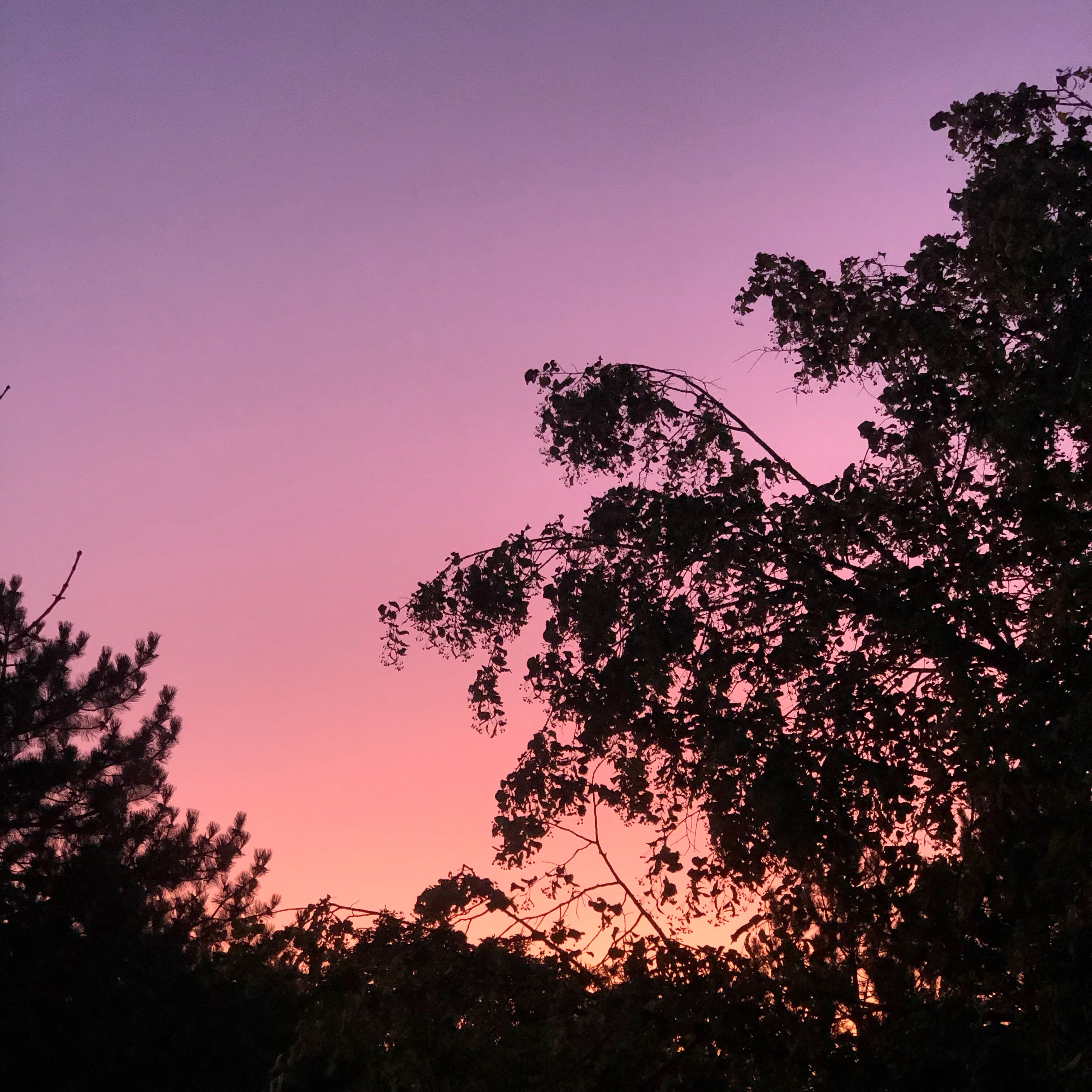 57d57e2e-9234-4f10-bfe1-8bb0a150d5f4