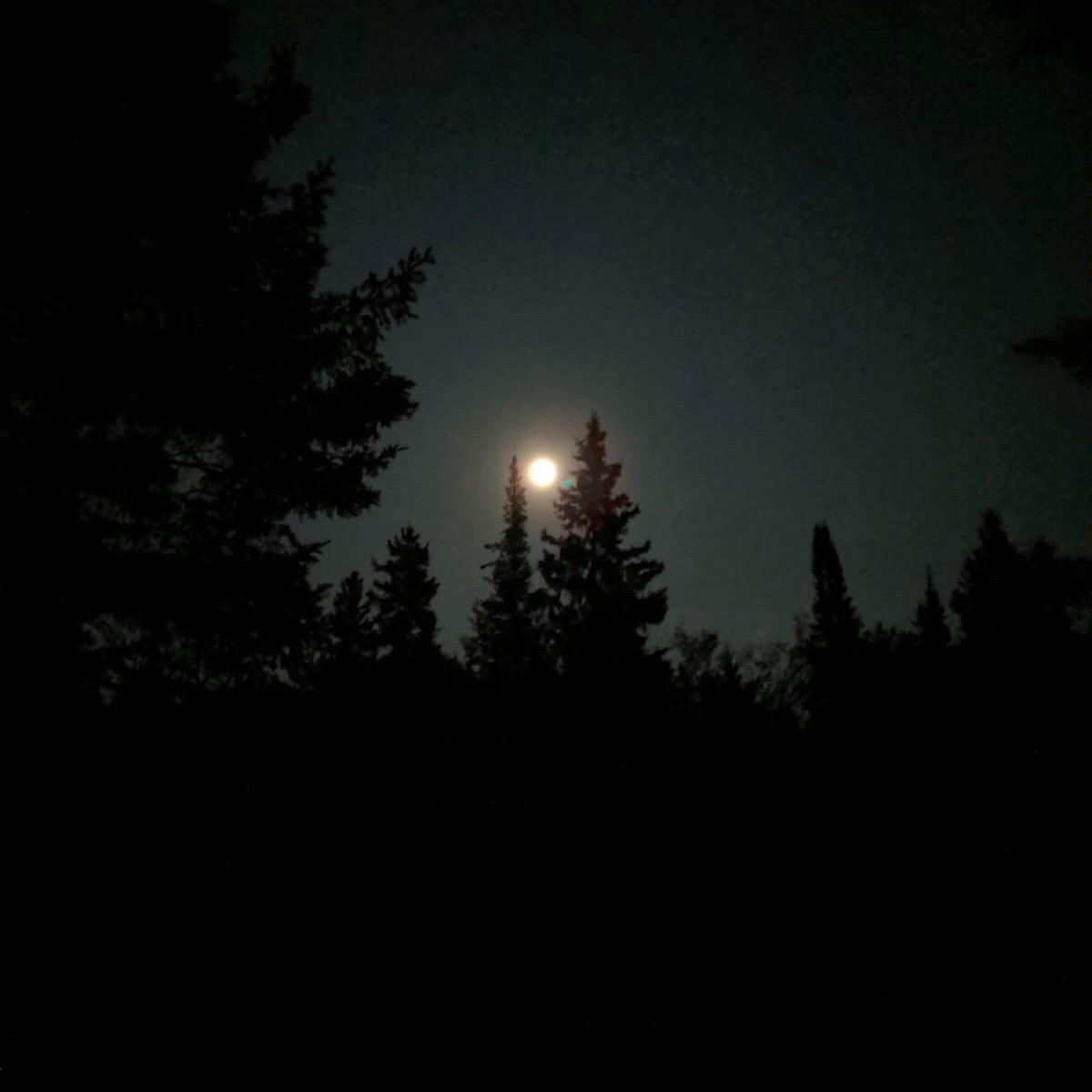 5e990393-ef5c-4cec-952c-9658bf789ec1