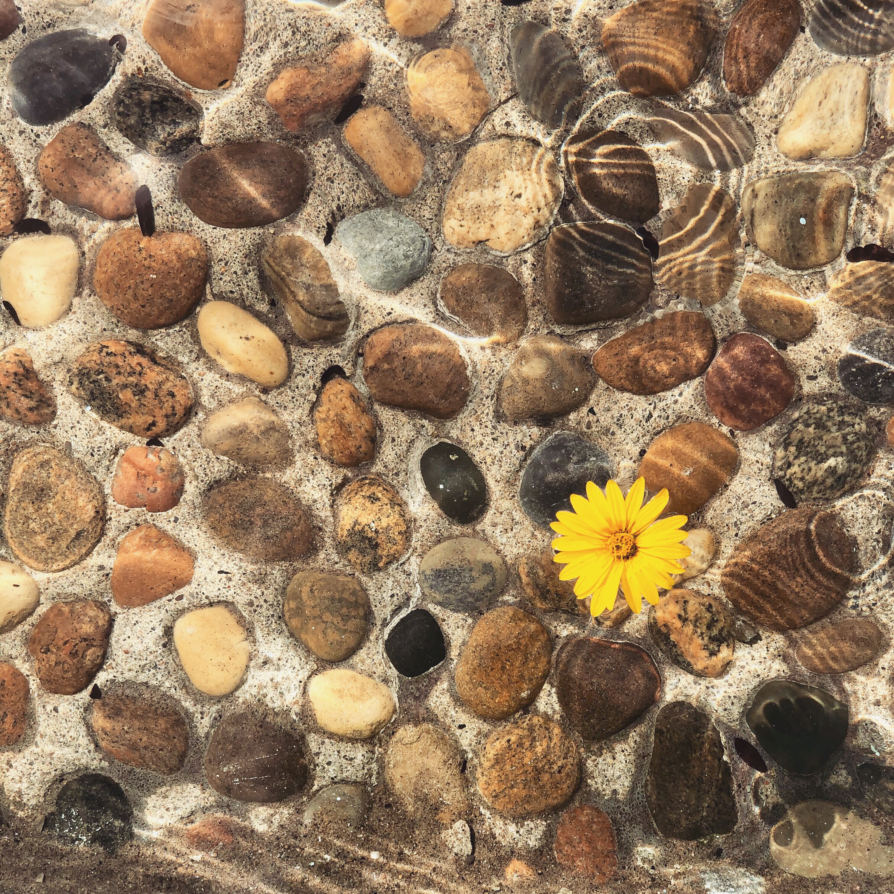 658b66cc-4234-40a8-a657-dd4e8f934147