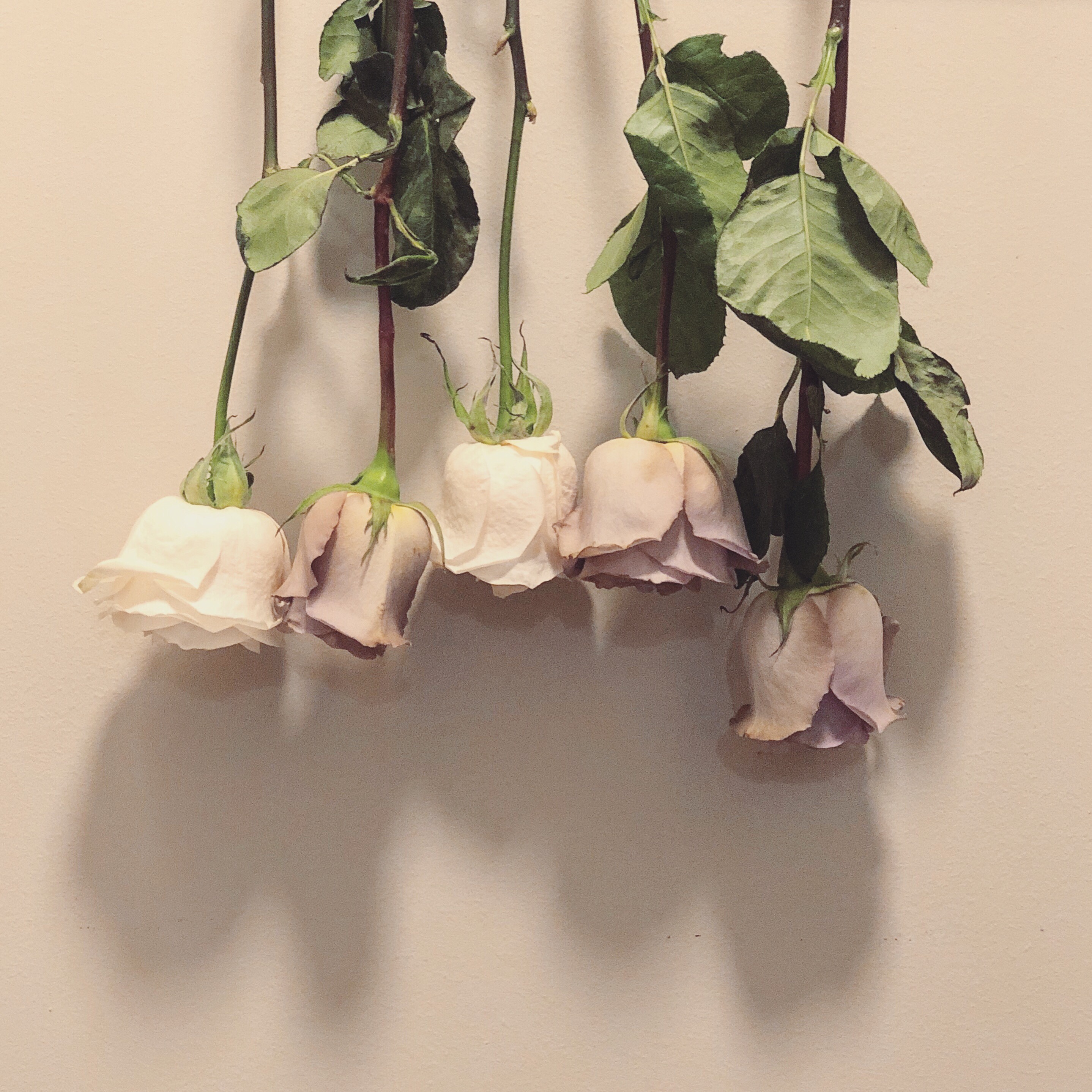 e232d45b-2f5c-4a5f-a7bd-12367243b6a9