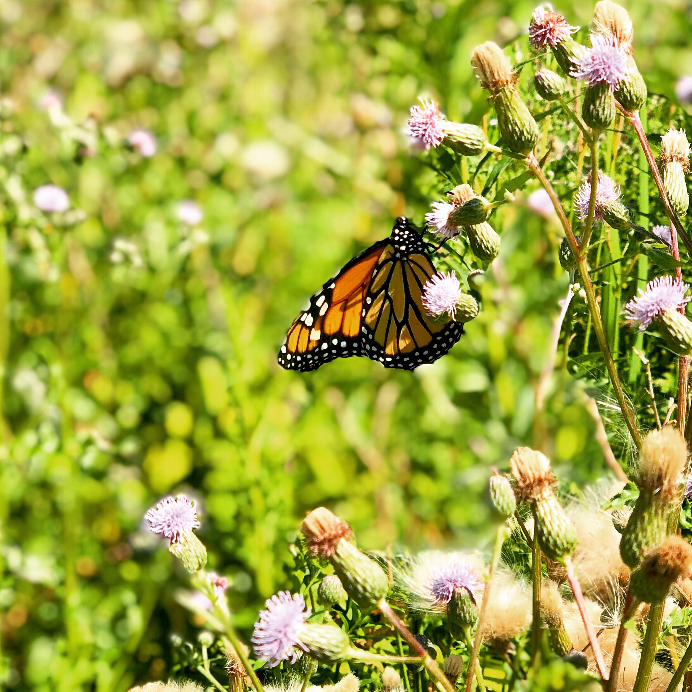 fa495670-bb24-4ae5-9d5a-2a961429eea5