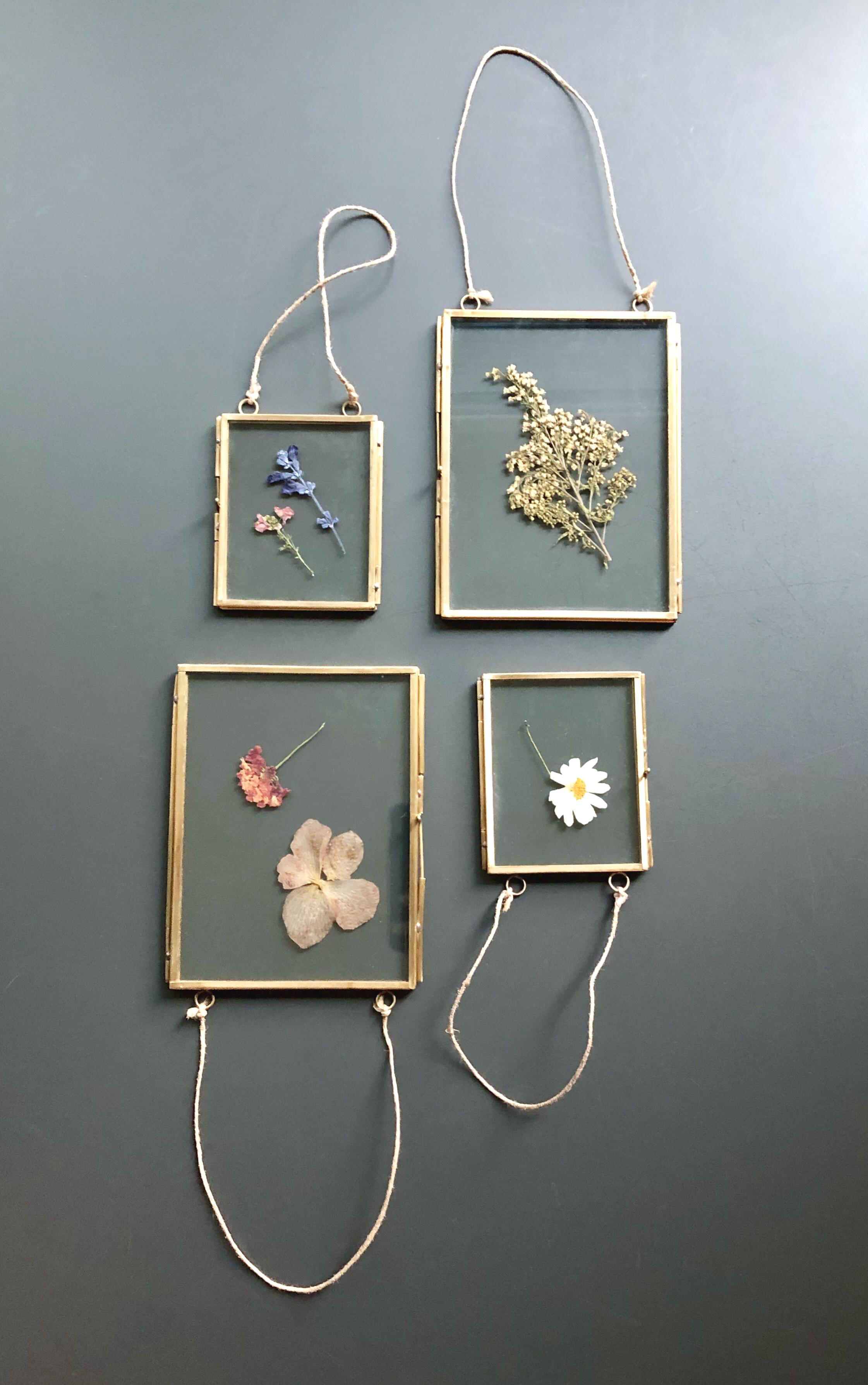Pressed Flower Display