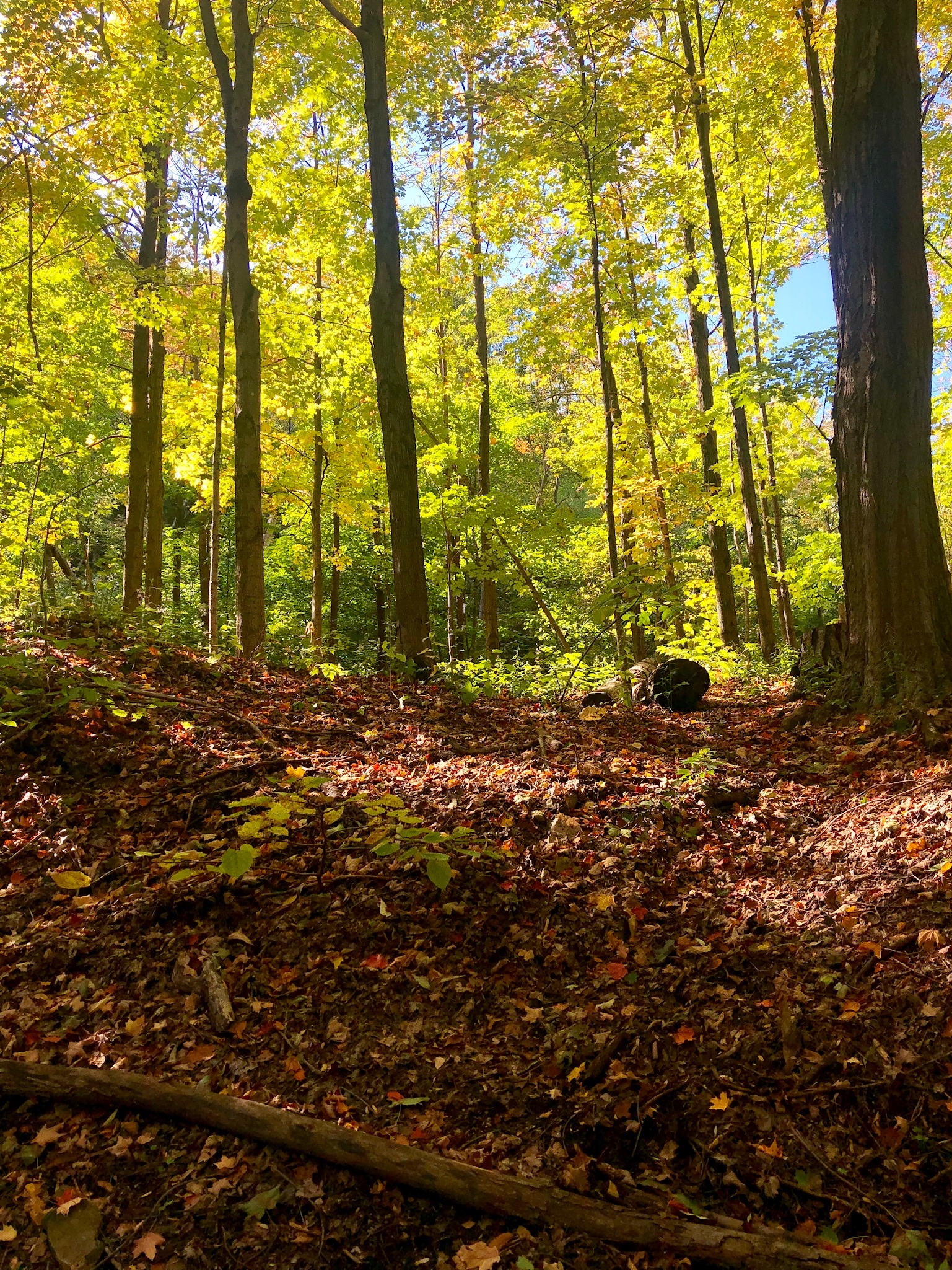 49ffcc86-7f73-48cf-a3f4-b4d73b827adf