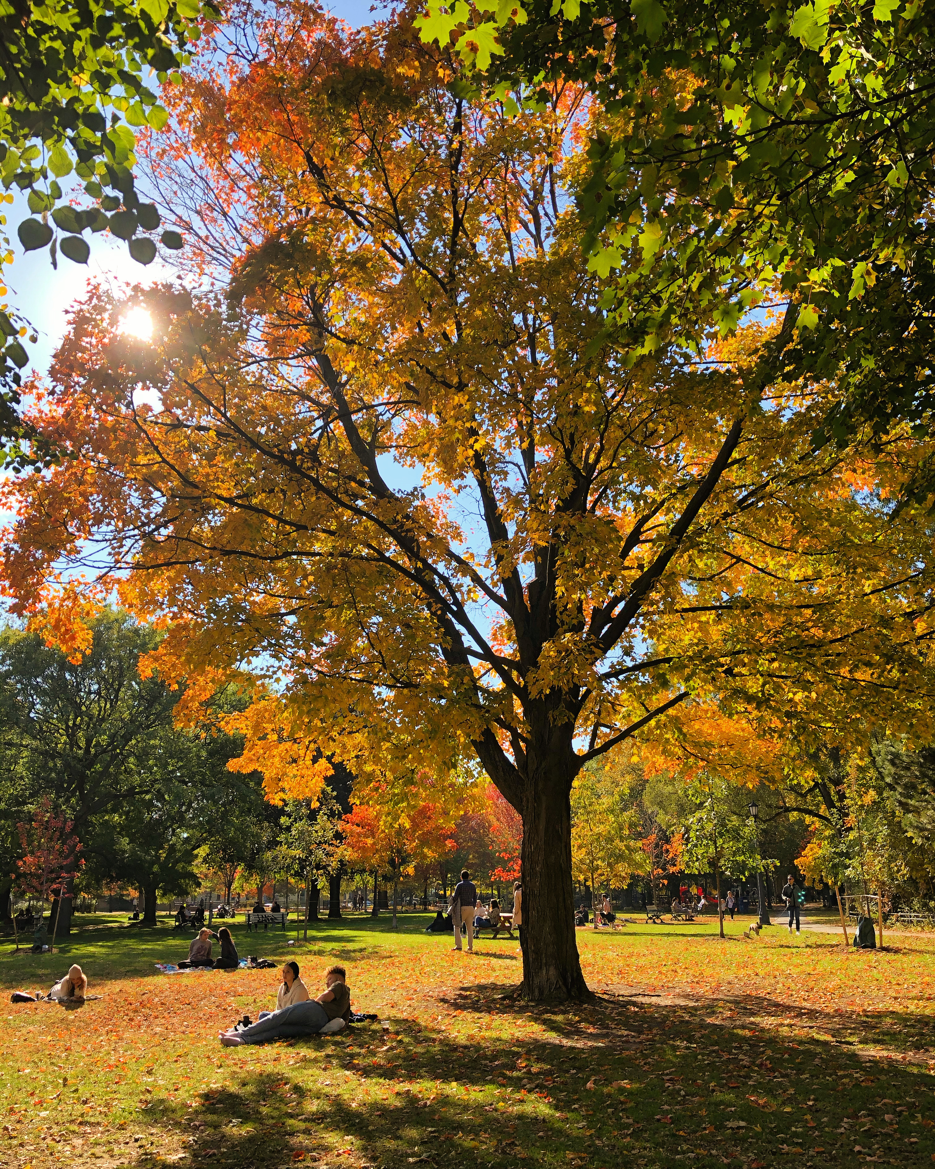 510664e4-e6d2-4541-b539-a7cb7d4242ae