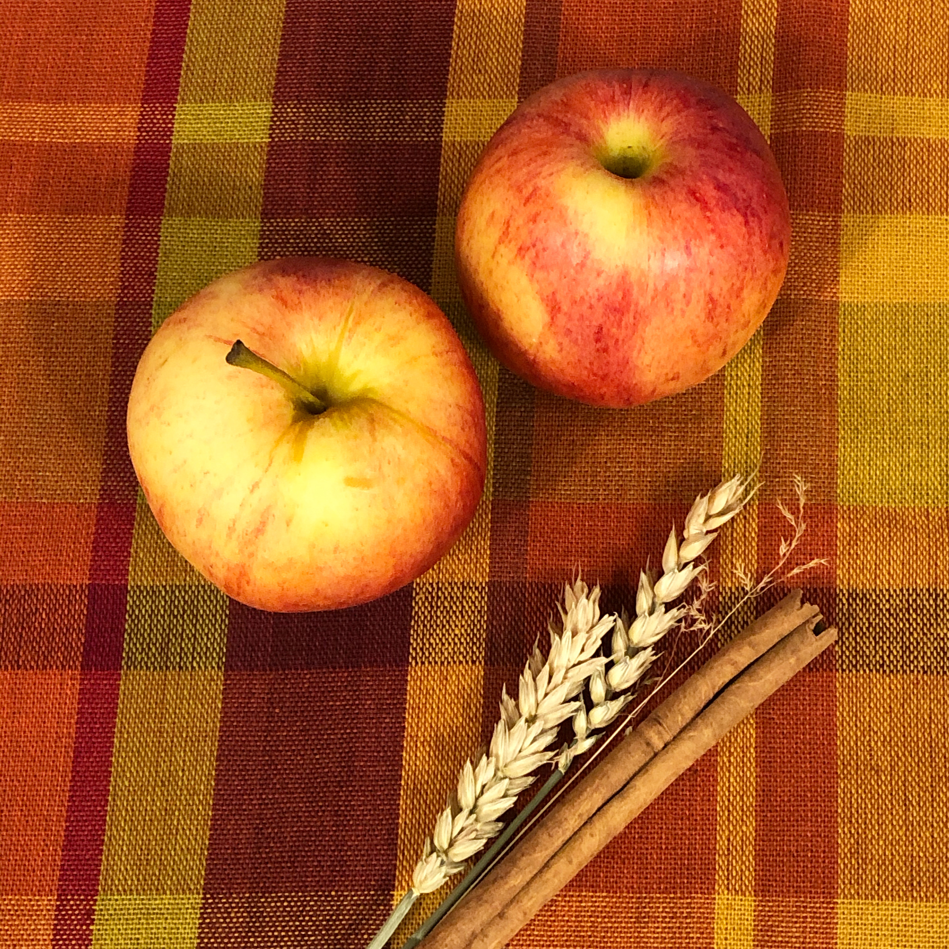 973915f6-bad9-450a-8165-ce177ed4950b