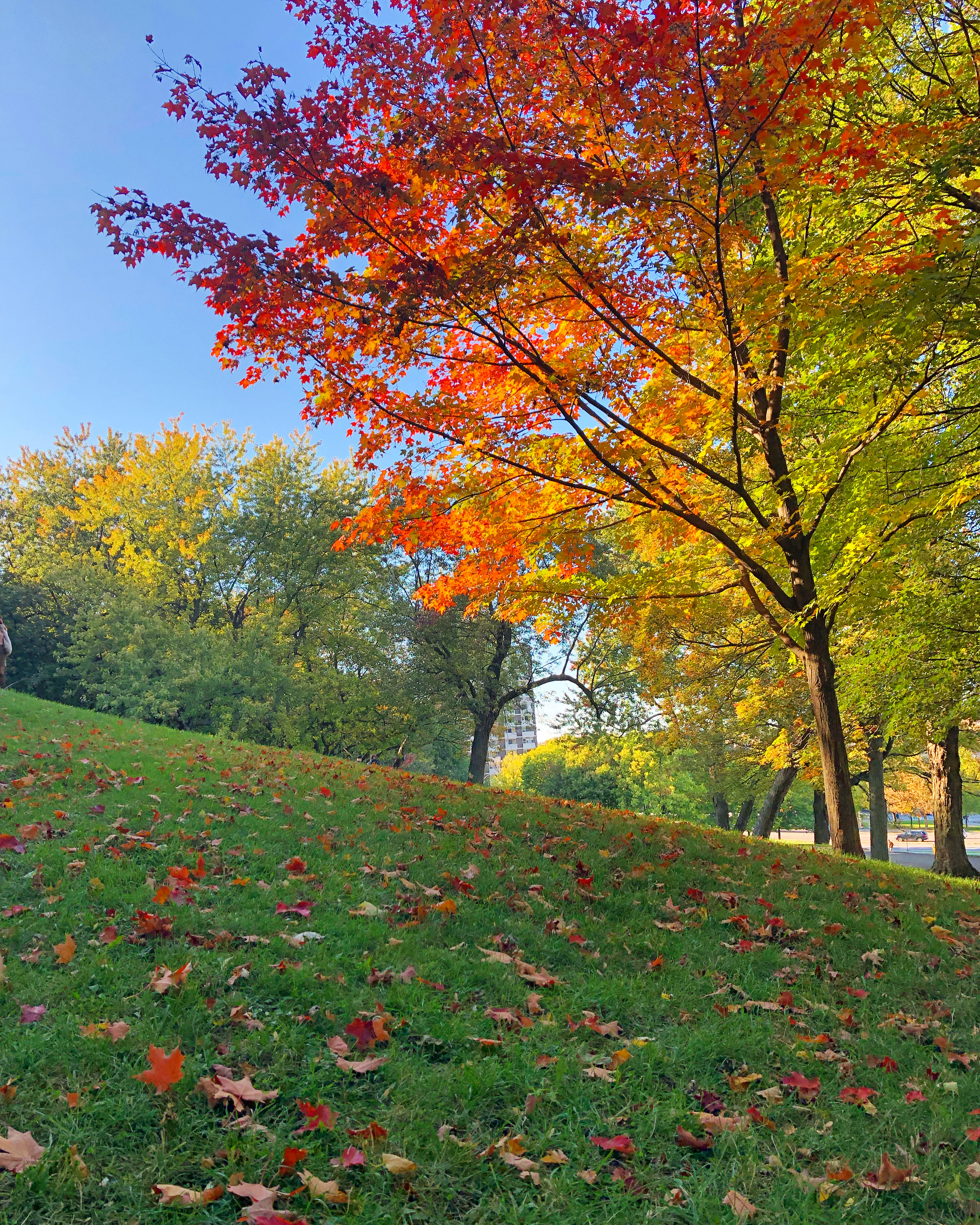 1189e97d-9146-4dec-95f8-f7f54a529c56