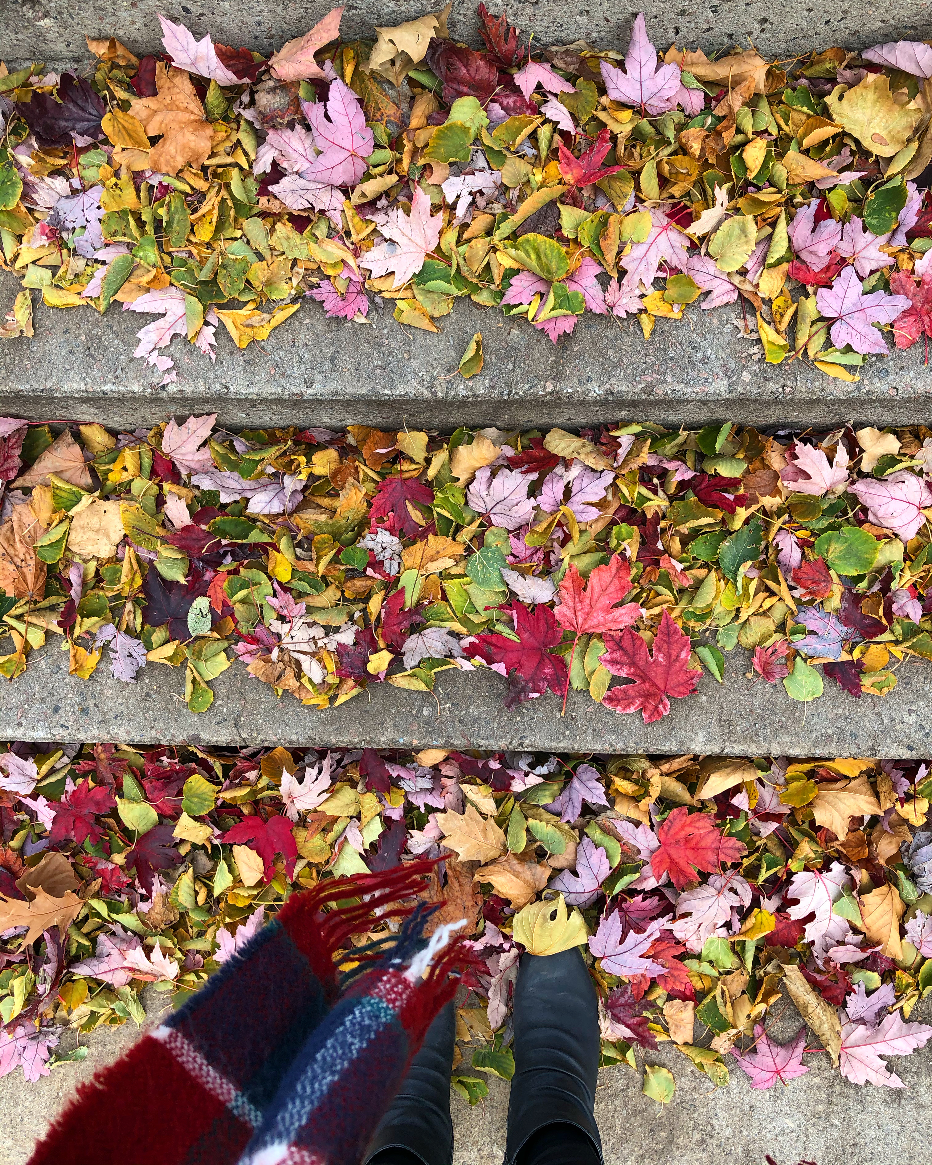 49d22508-6e30-418e-b050-cbd41d6aa8e6