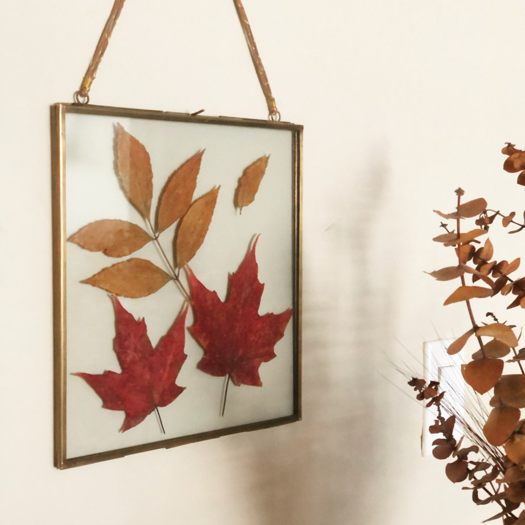 Bittersweet Farewell to October