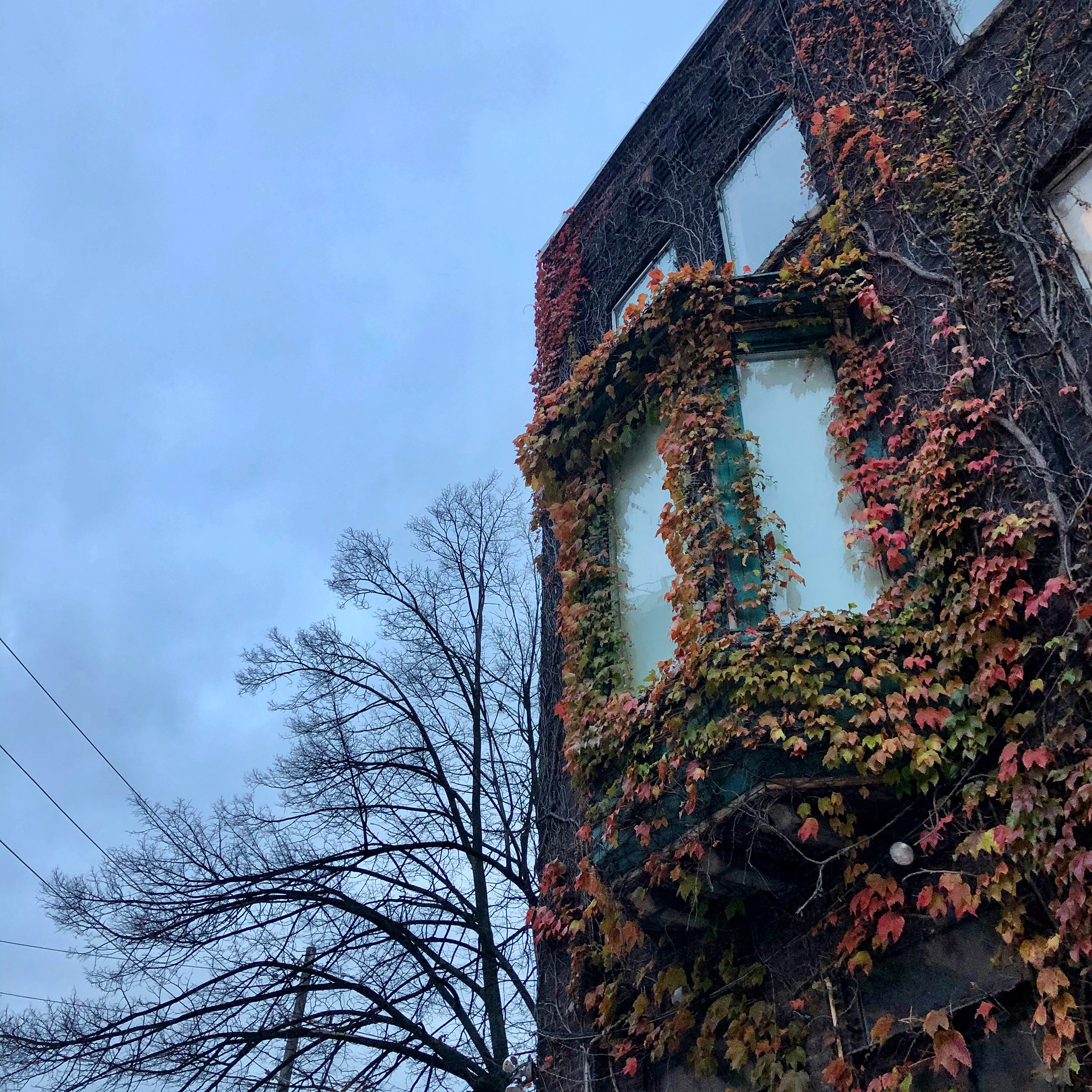 f2832a4f-688a-4d12-9c6f-589b6a4dea03