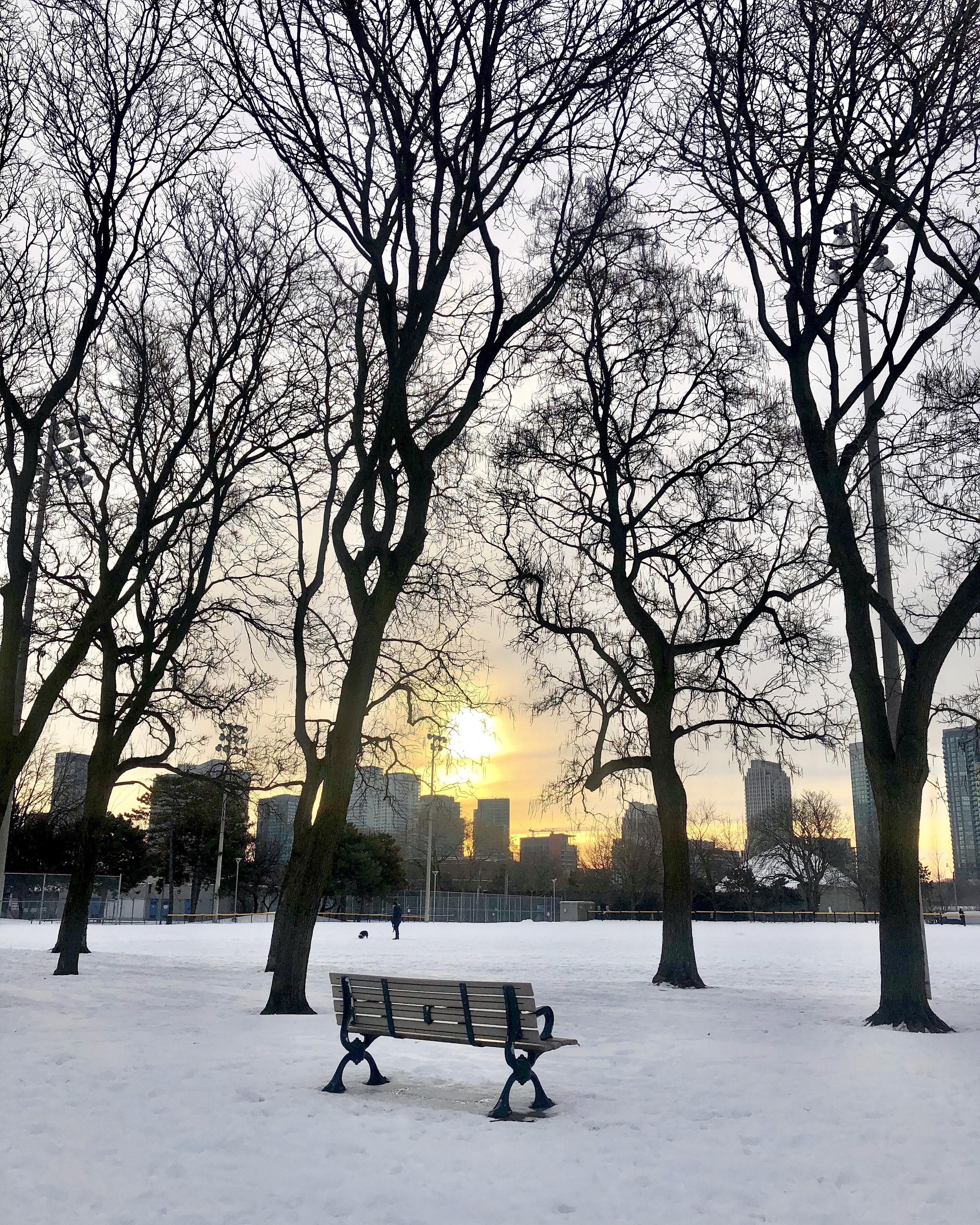 5540b52b-f8bb-4161-9036-946fbc6e60f3