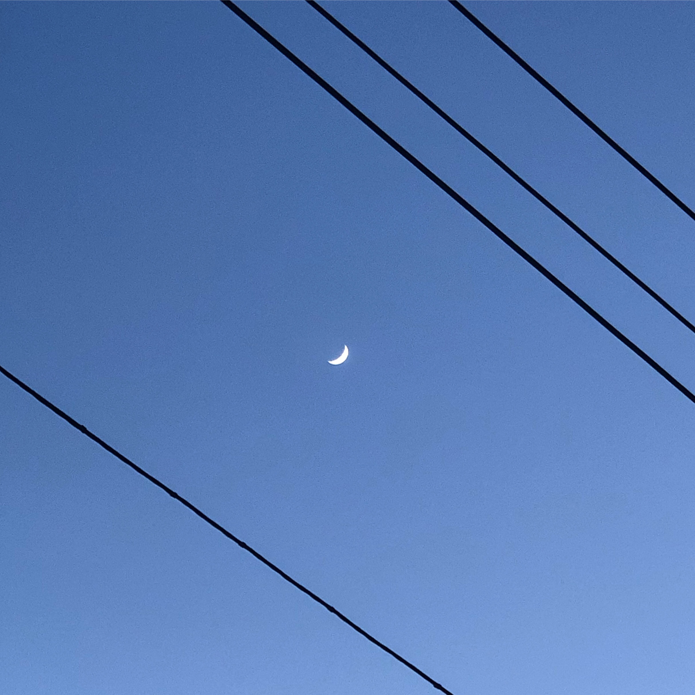 8b04217e-d7eb-4be7-b51c-b8d55cdfbed6