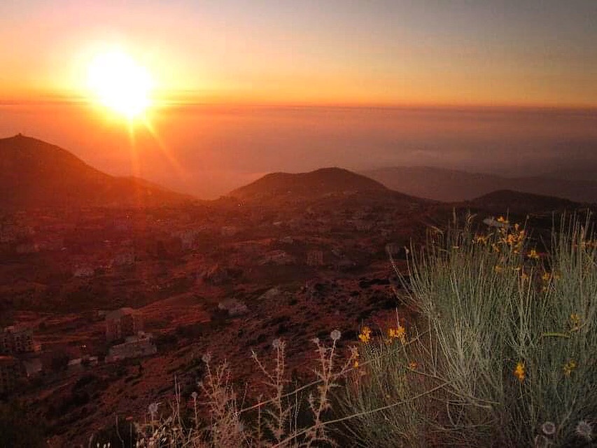 Ehden