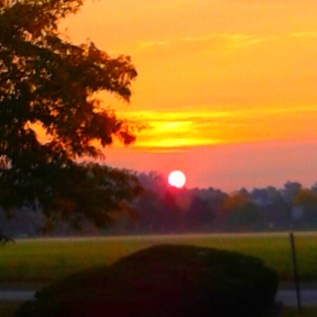 a99a71ec-794e-4254-aad8-6e8b781861f1