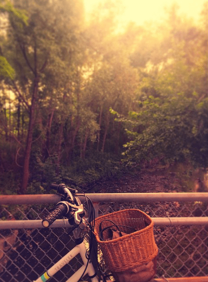 Bike Route Snapshots