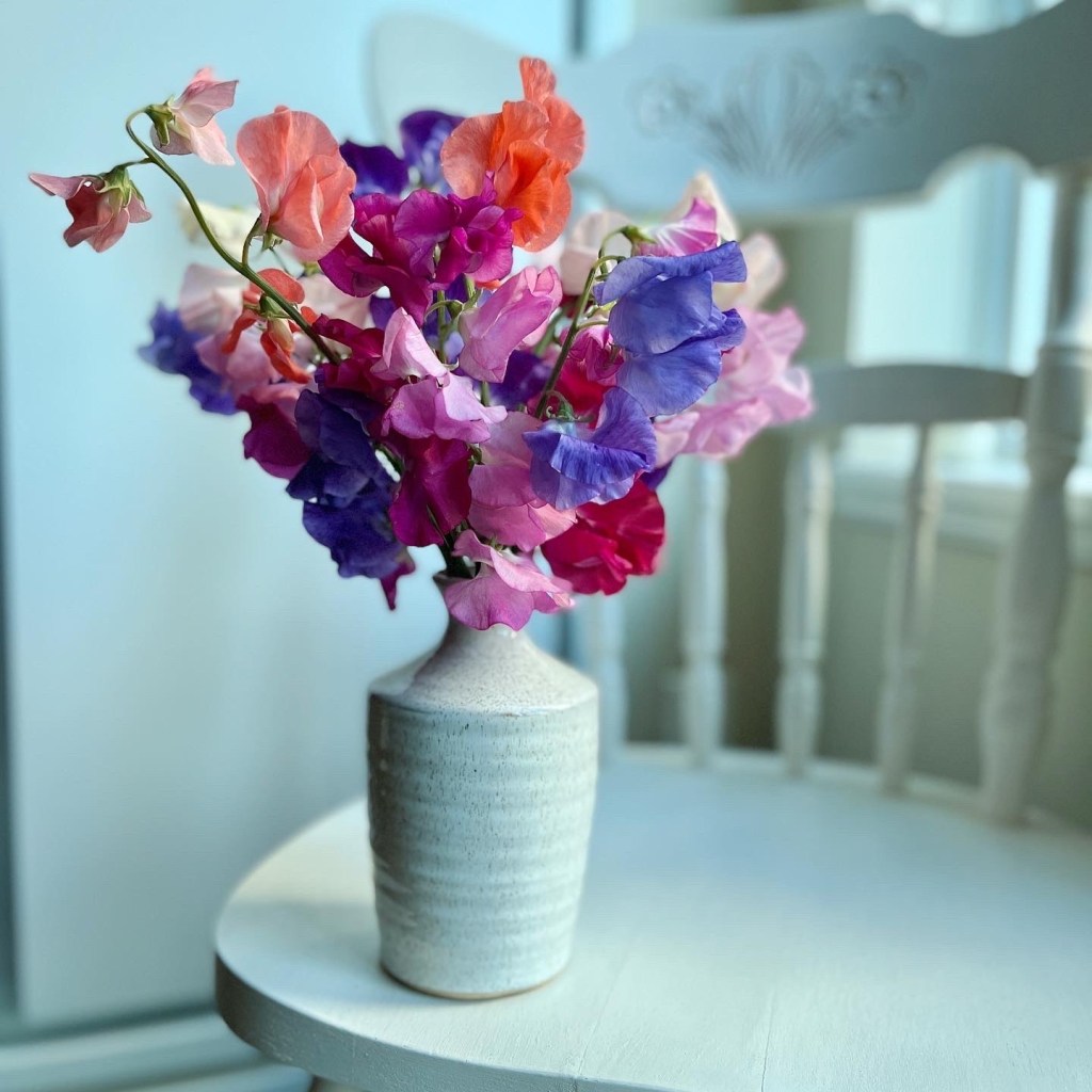 March blooms to soothe our&nbsp;soul