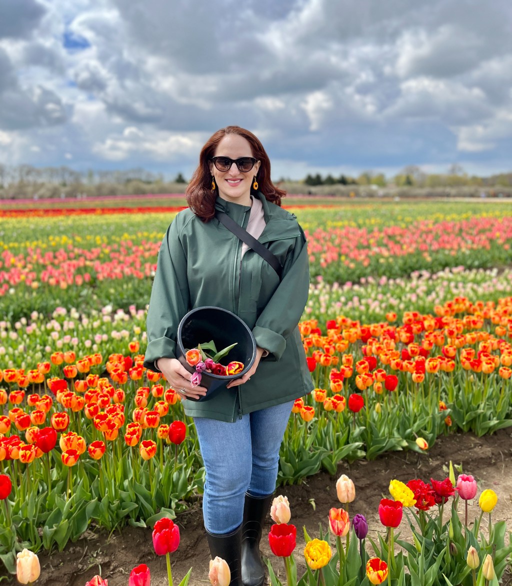 Tulip picking at TASC Tulip&nbsp;Farm