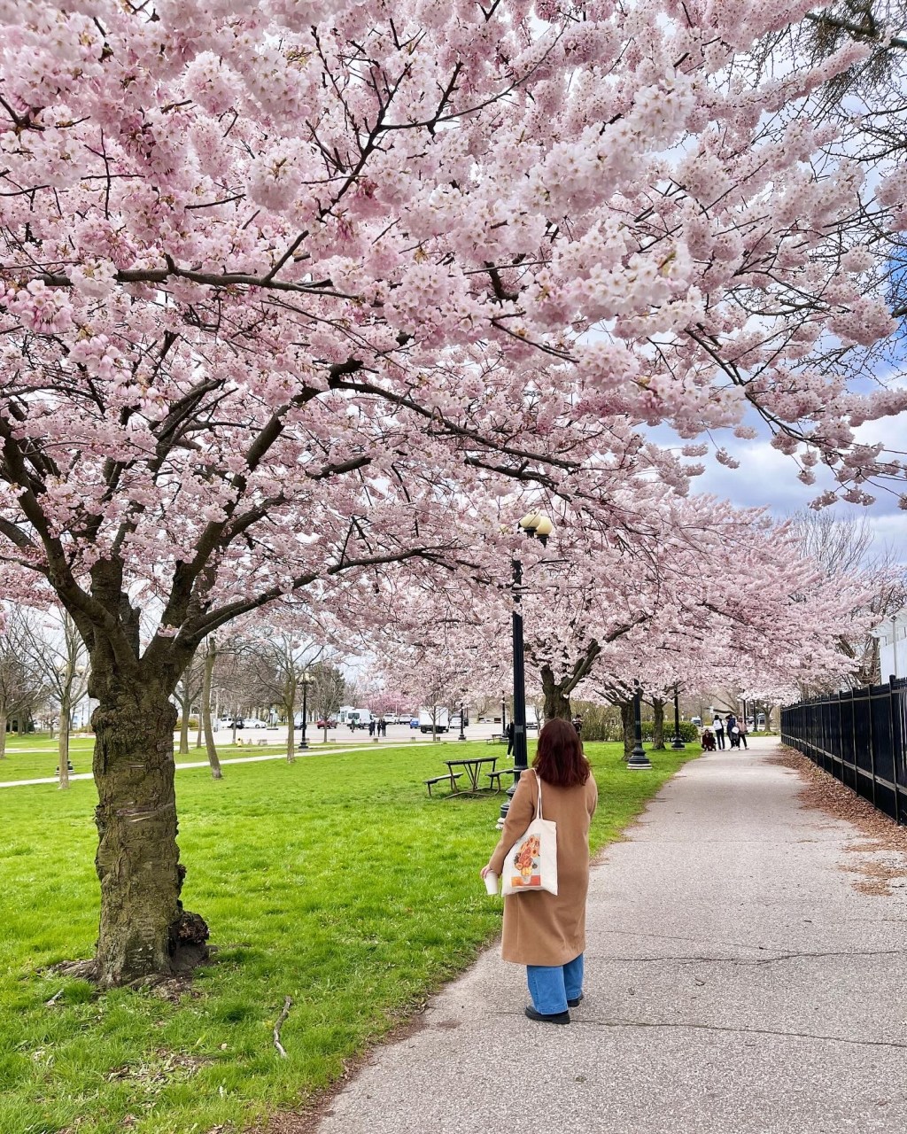 My big moments & lessons of 2024